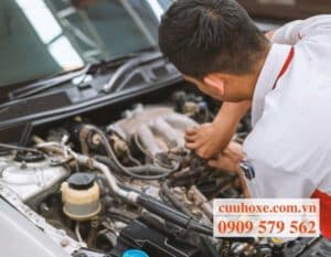 trung tâm cứu hộ Sài Gòn Minh Thức